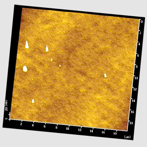  nichia: Organic Carboxylate