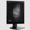  IPO Technologie: Medical Division - Monochrome Diagnostic monitor